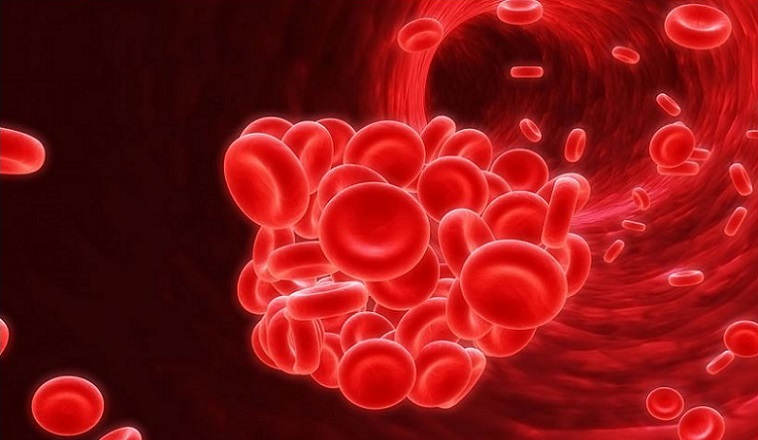Covid-19: AIFA autorizza lo studio su Inhixa®, l’anticoagulante che “inganna” il virus e ne blocca l’attacco alle cellule