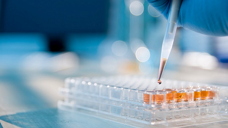 Nuove frontiere terapeutiche in oncologia. I farmaci biosimilari garantiscono stessa sicurezza ed efficacia
